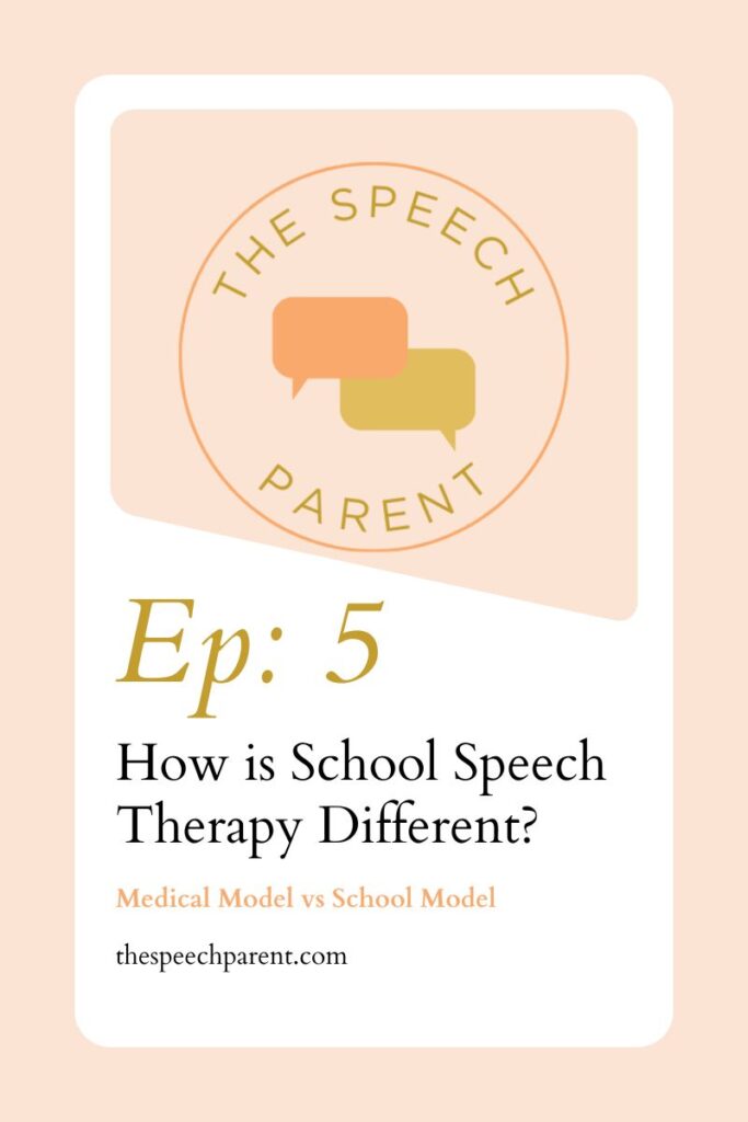 How is School Speech Therapy Different?